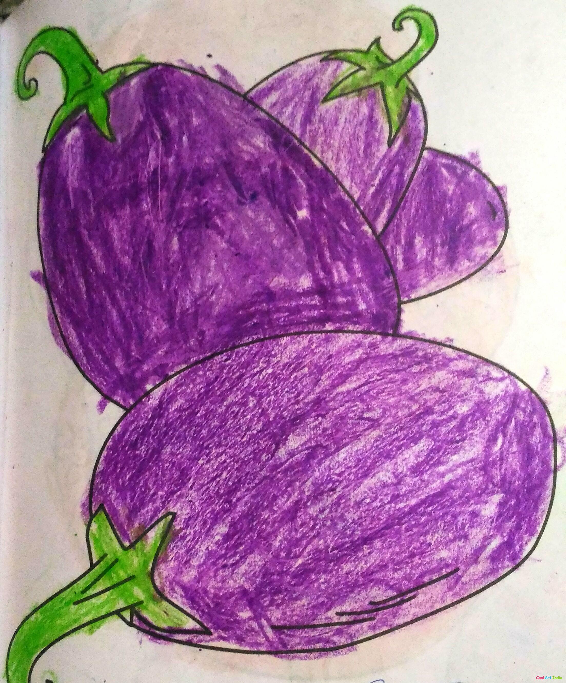 brinjal pencil drawing