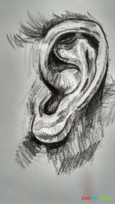 ear sketch