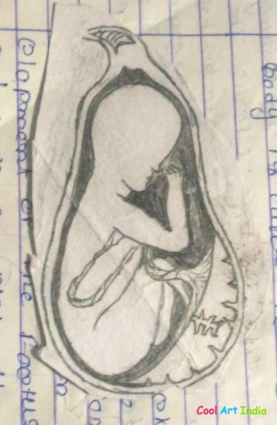 foetus inside uterus