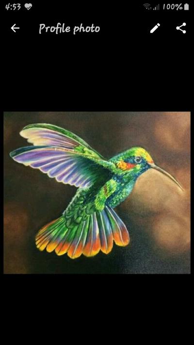 Flemming bird oil painting 